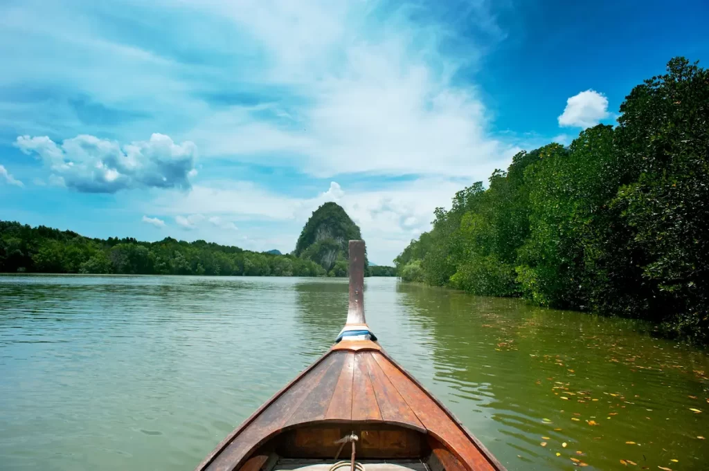 Longtail boat exploring Trang's mangrove waterways, showcasing one of the unique experiences for travellers deciding where to go in Southern Thailand.