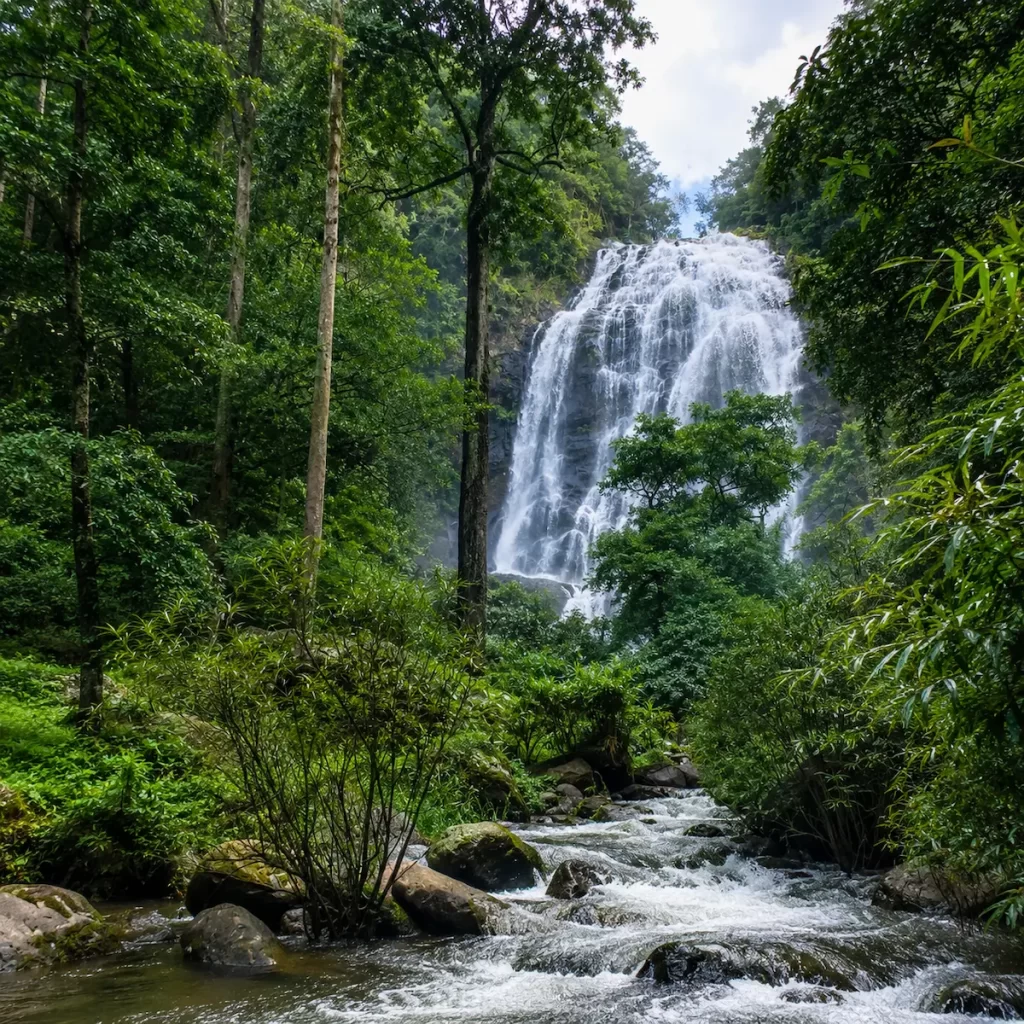 Beautiful Waterfalls In Thailand: Khlong Lan Waterfall in Kamphaeng Phet, one of Thailand's widest waterfalls, cascading through lush rainforest.