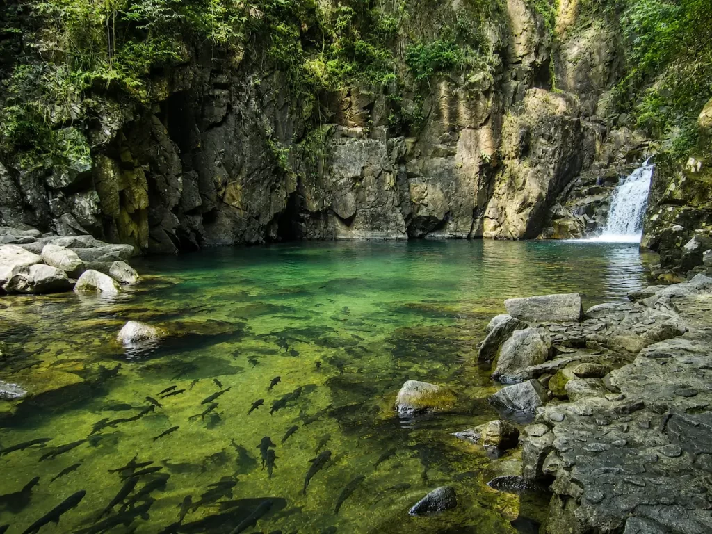 Beautiful Waterfalls In Thailand: Phlio Waterfall in Chanthaburi with crystal-clear pools inhabited by large mahseer fish.