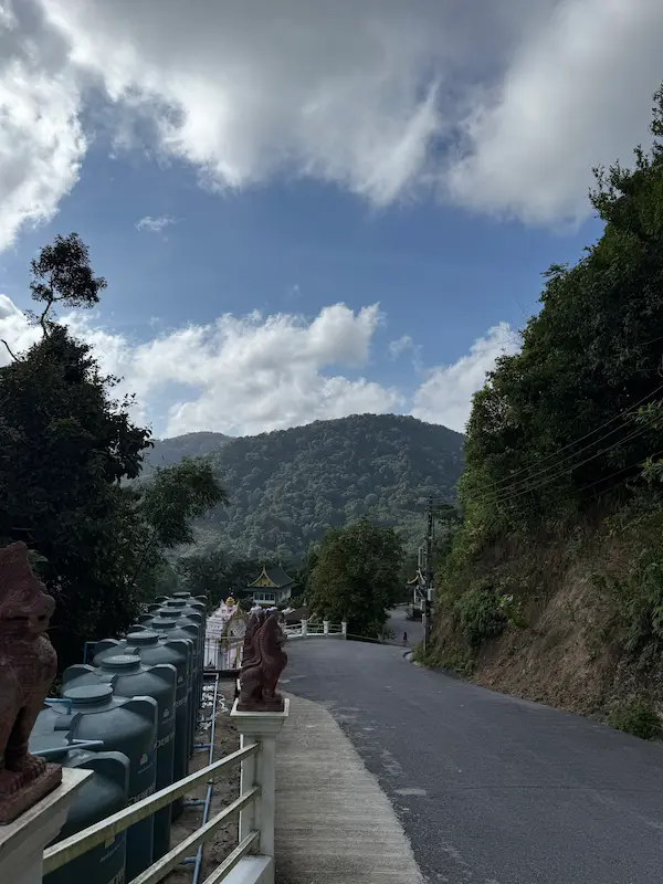 The winding access road leading to Wat Doi Thep Nimit through the forested hillside above Patong, Phuket.