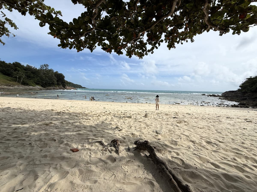 Merlin Beach with a sandy shoreline, natural shade and shallow reef between forested headlands