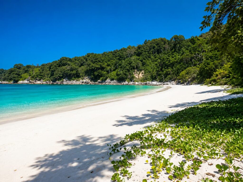 Patong Travel Guide view of Freedom Beach, showing white sand, turquoise water and the forested coastline south of Patong.