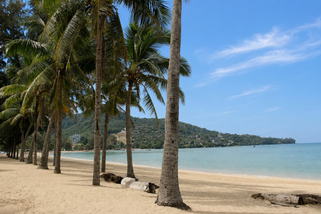 Palm trees framing Kamala Beach and its hillside-backed bay, featured in our Phuket travel guide.