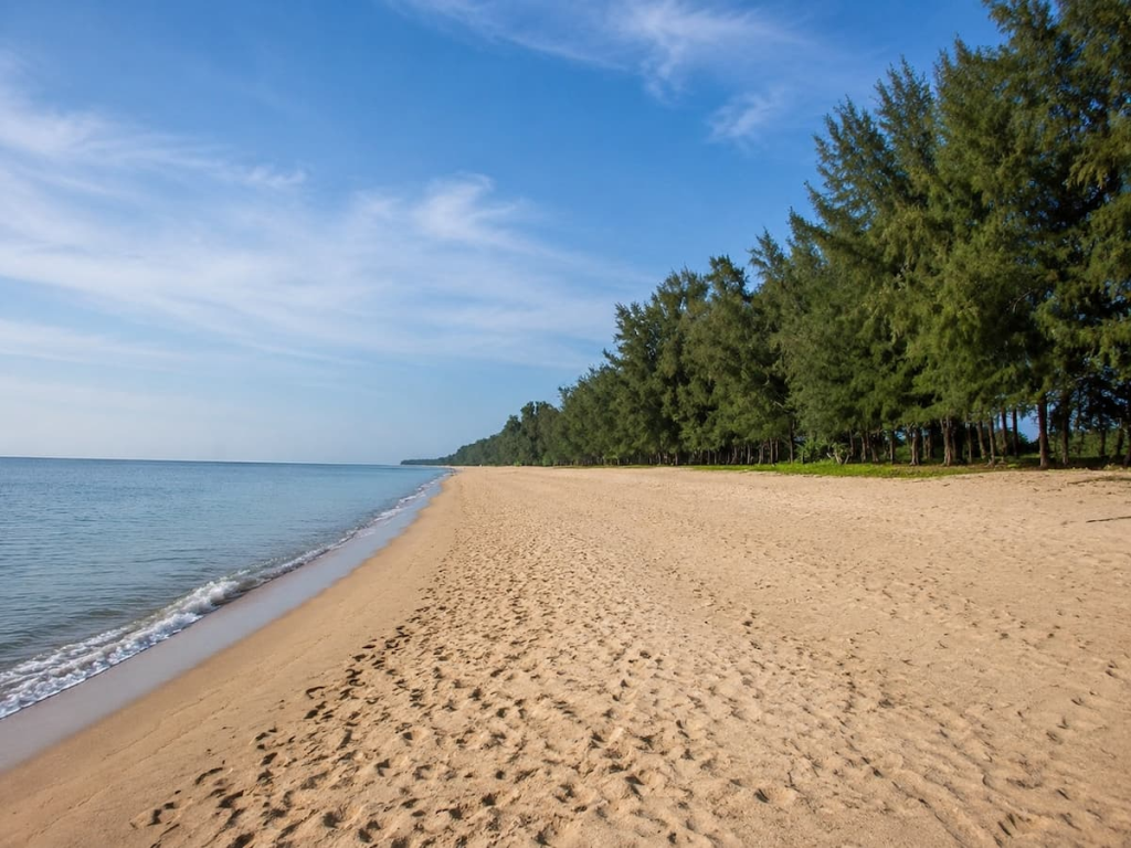 Mai Khao Beach in Phuket, with a broad stretch of sand and a tree-lined shoreline.