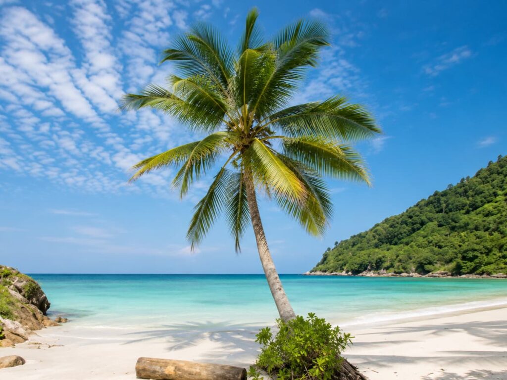 Merlin Beach near Patong with white sand, turquoise water and tropical palm trees featured in our Patong Travel Guide.
