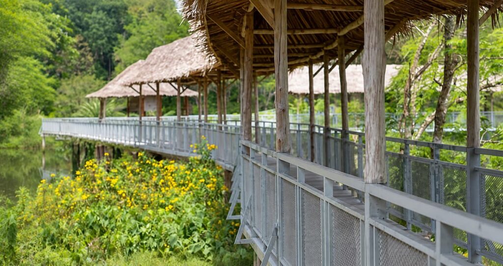 Canopy walkway at Phuket Elephant Sanctuary, one of the ethical elephant sanctuaries in Thailand