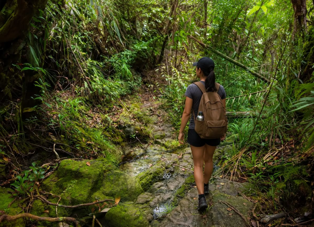 Hiker following a wet rainforest trail in Khao Sok National Park during an adventure in Southern Thailand.