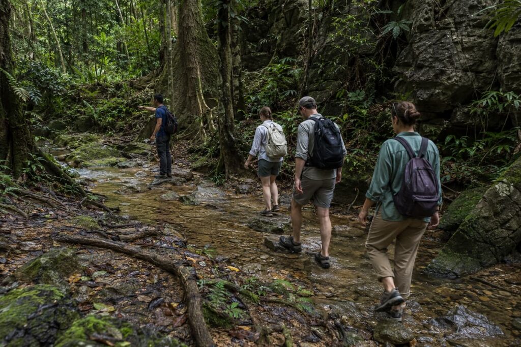 Travellers following a local guide through tropical rainforest in Southern Thailand