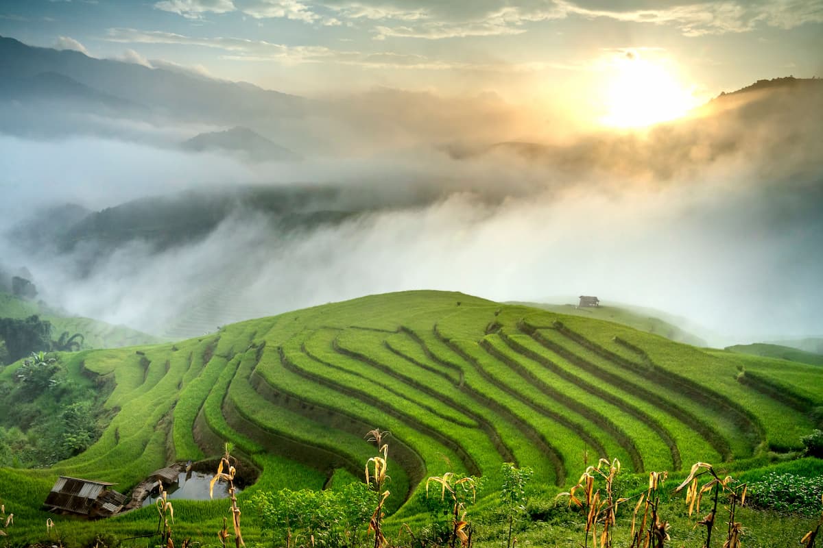 Terraced rice fields surrounded by misty mountains at sunrise in northern Vietnam as a main Southeast Asia Destination
