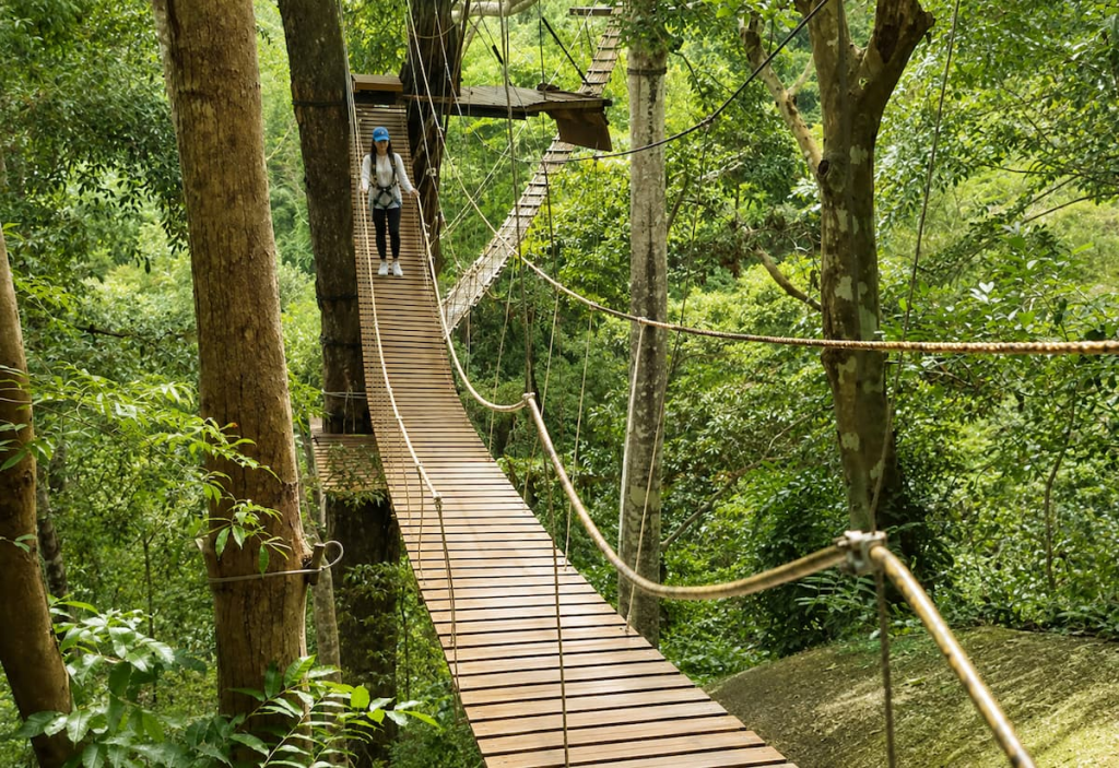 Treetop walkway at Flying Hanuman, one of the best adventure experiences in Phuket