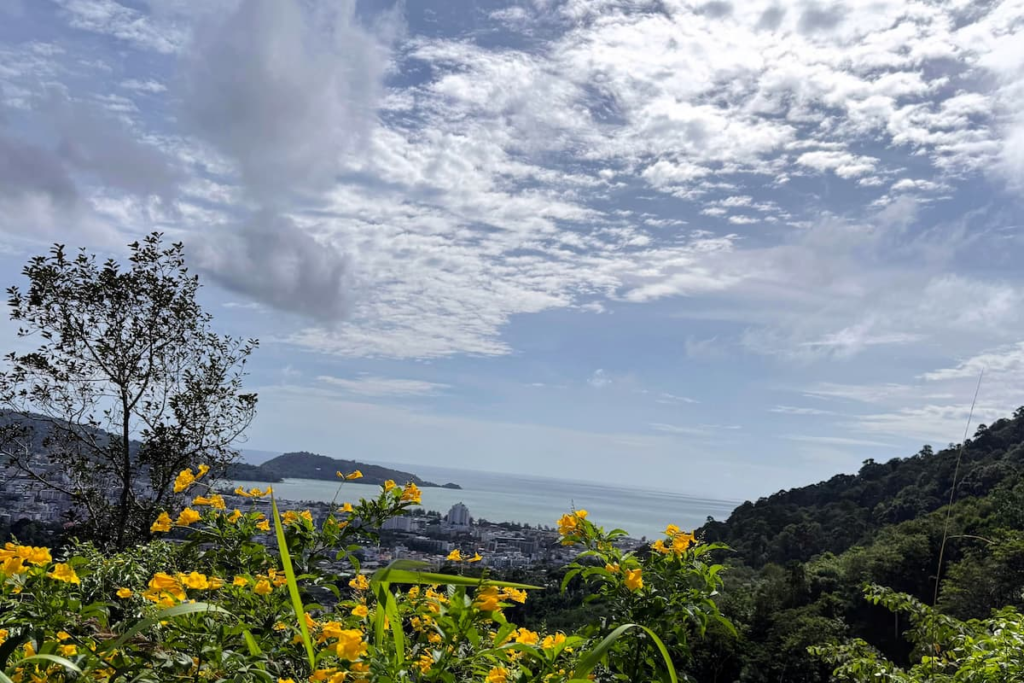 View over Patong and Patong Bay from the hillside viewpoint with yellow flowers in the foreground