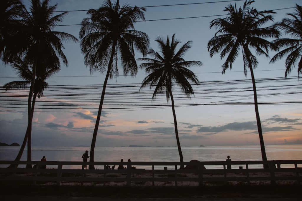 Palm trees silhouetted against the evening sky beside the sea in Thailand